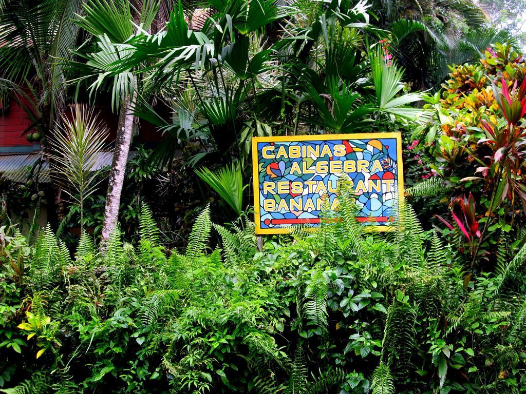 Cabinas Algebra Hostel Cahuita Exterior photo