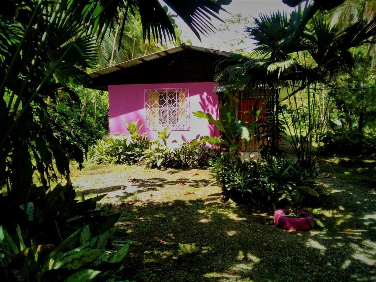 Cabinas Algebra Hostel Cahuita Exterior photo