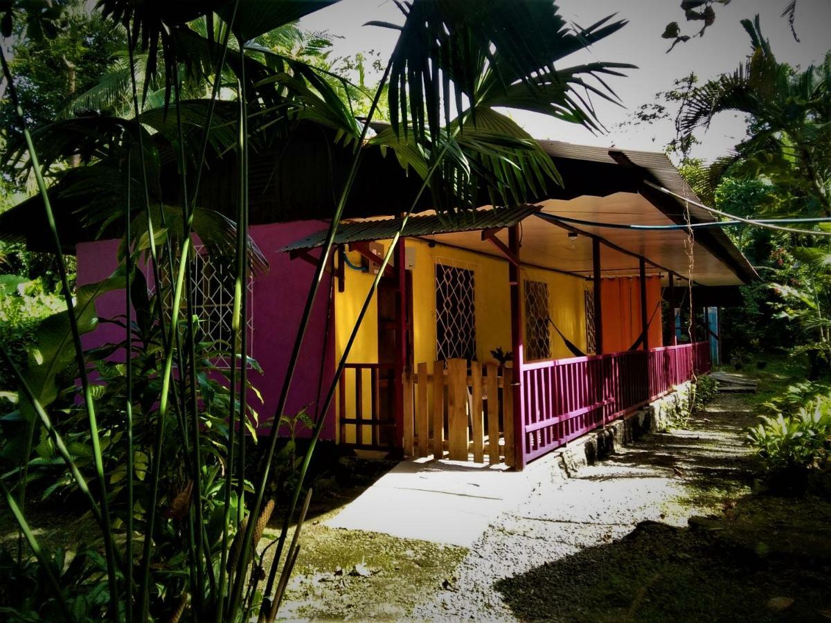 Cabinas Algebra Hostel Cahuita Exterior photo